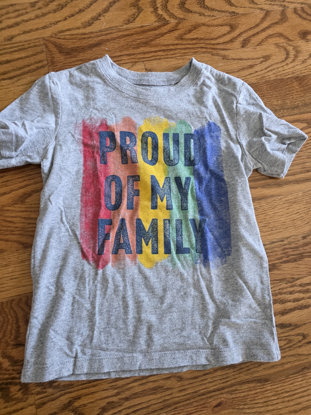 Carter's Grey Tee with Rainbow Brushstroke 'Proud of My Family'